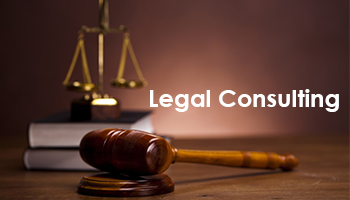 Legal Consulting